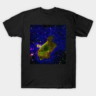 Black Panther Art - Glowing Edges 624 T-Shirt